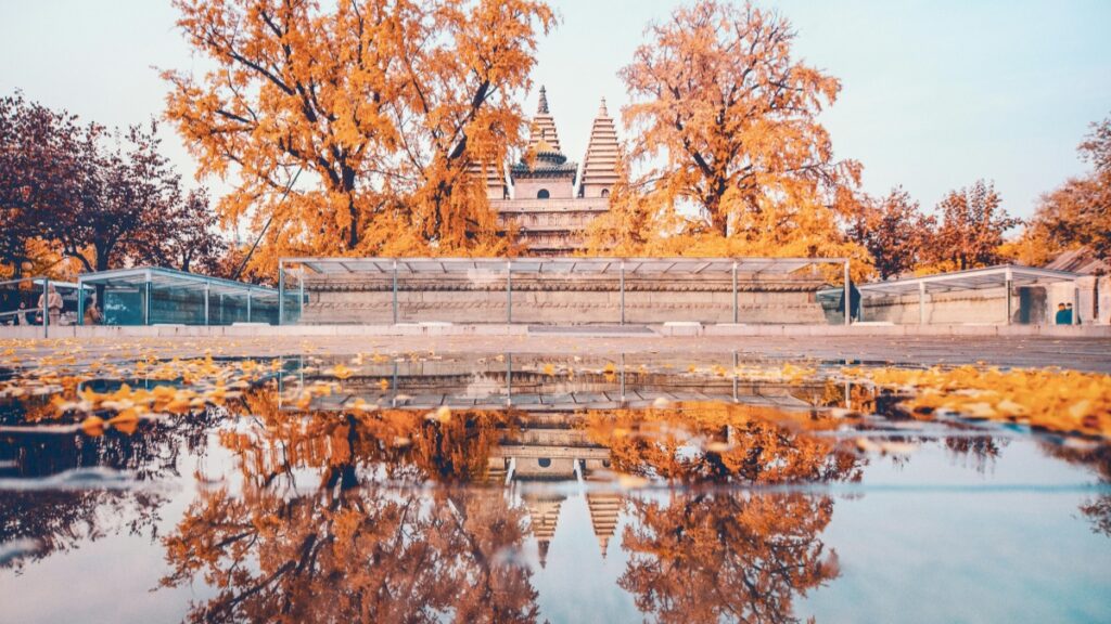 Como bloggers de WhatsApp em Angola podem colaborar com anunciantes do Qatar em 2025