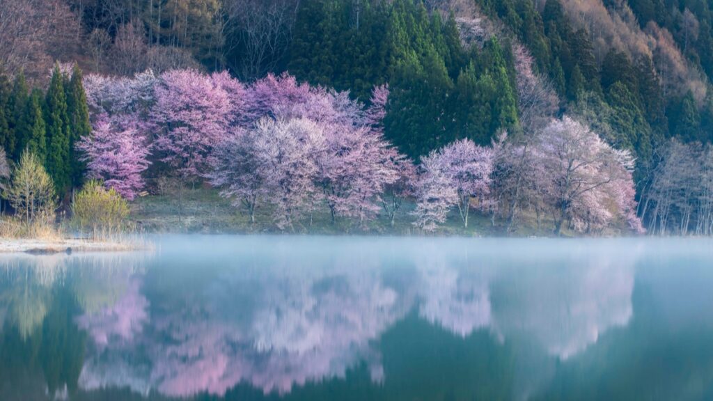 Como Bloguers de Angola podem Trabalhar com Advertisers da Rússia em 2025