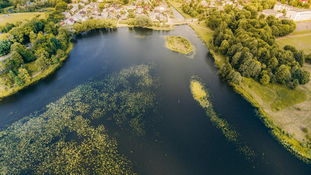 Como bloggers do Pinterest de Angola podem colaborar com anunciantes da Coreia do Sul em 2025