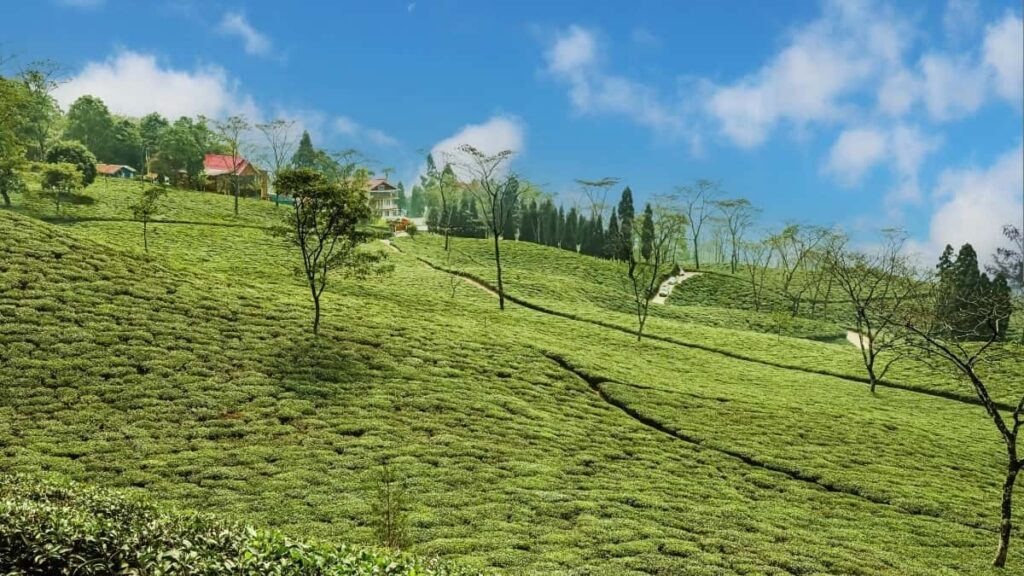 2025 Norway TikTok AllCategory Advertising Rate Card para Angola