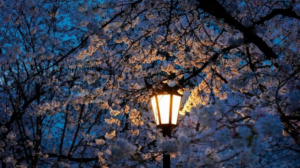 Tabela de Preços Publicitários LinkedIn Rússia 2025 Para Angola