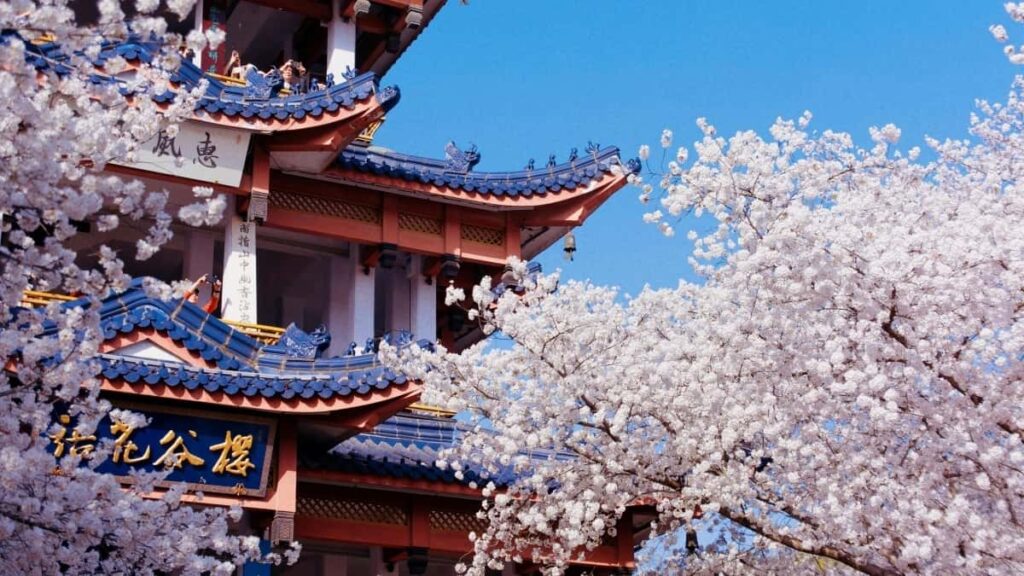 Tabela de Preços Publicidade TikTok Rússia para Angola 2025