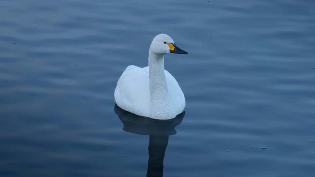 Tabela de Preços Publicitários WhatsApp Marrocos 2025 Angola