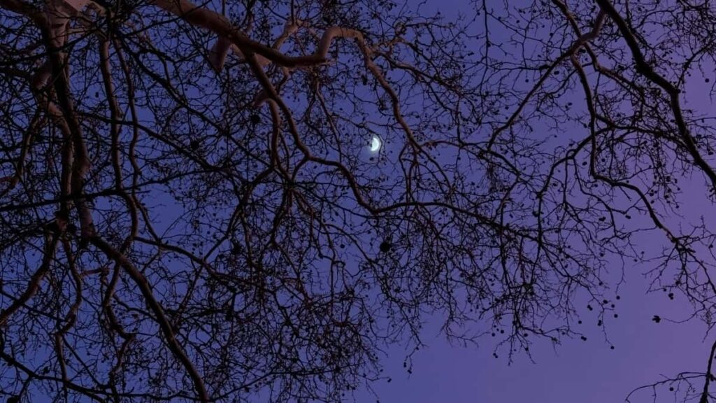 2025 United States WhatsApp AllCategory Advertising Rate Card Angola