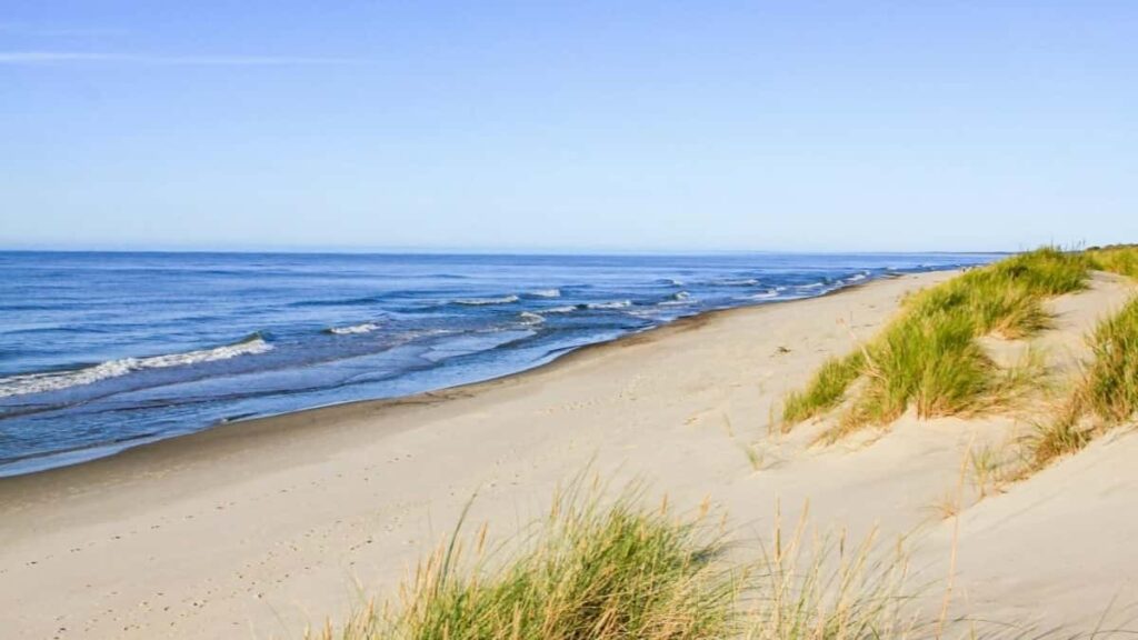 Tabela de Preços Publicitários Instagram Canadá para 2025 Angola