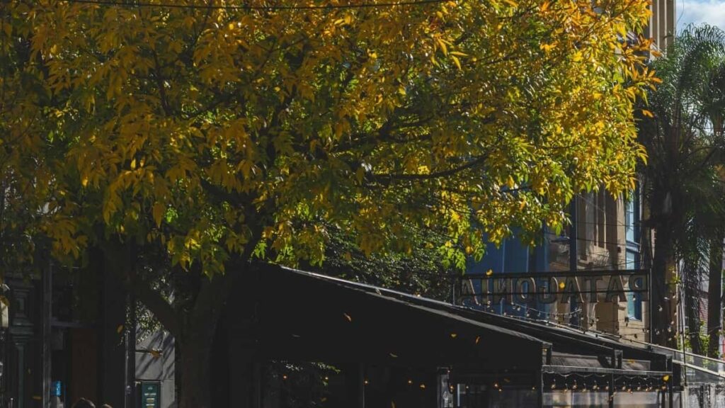 Tabela de Preços das Publicidades Facebook Argentina para Angola 2025