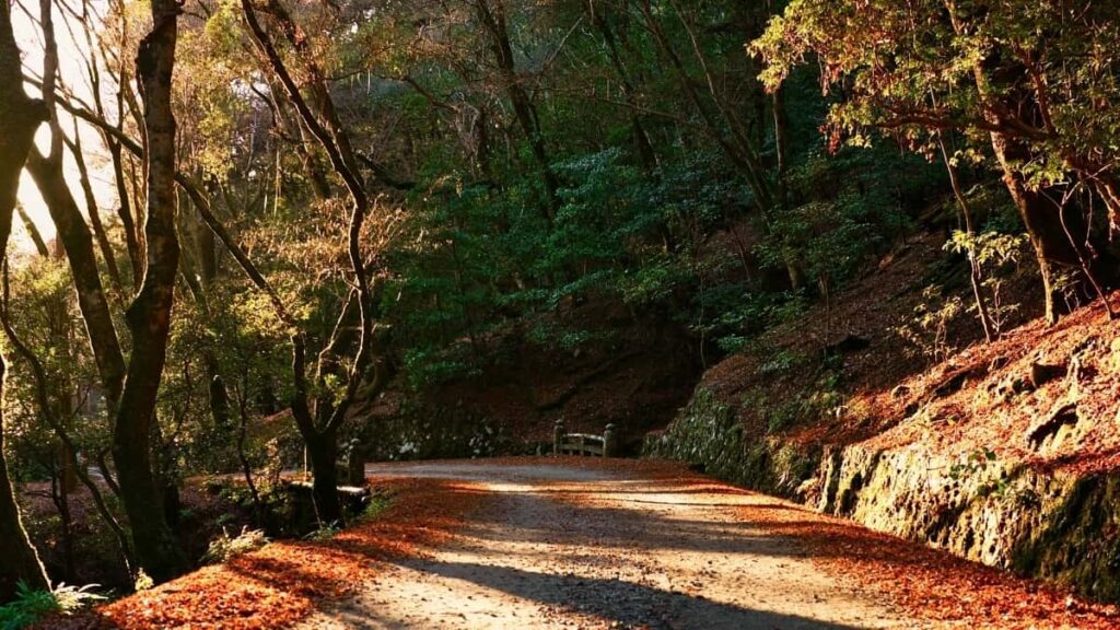 Tabela de Preços de Publicidade Pinterest Egipto 2025 Angola