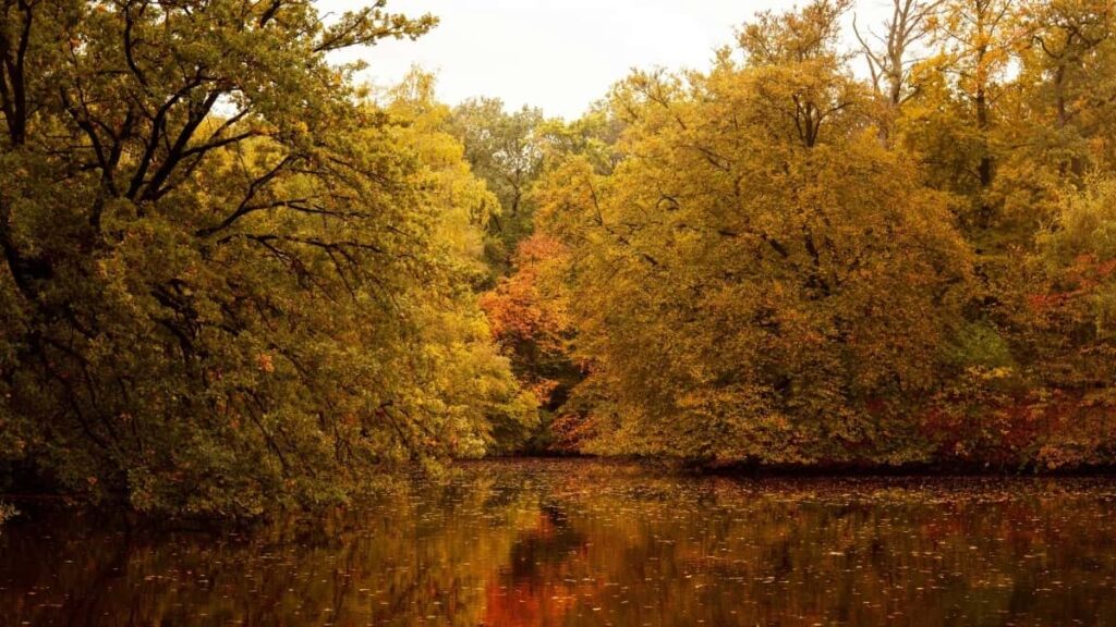 Tabela de Preços Publicitários Snapchat Argentina 2025 Angola