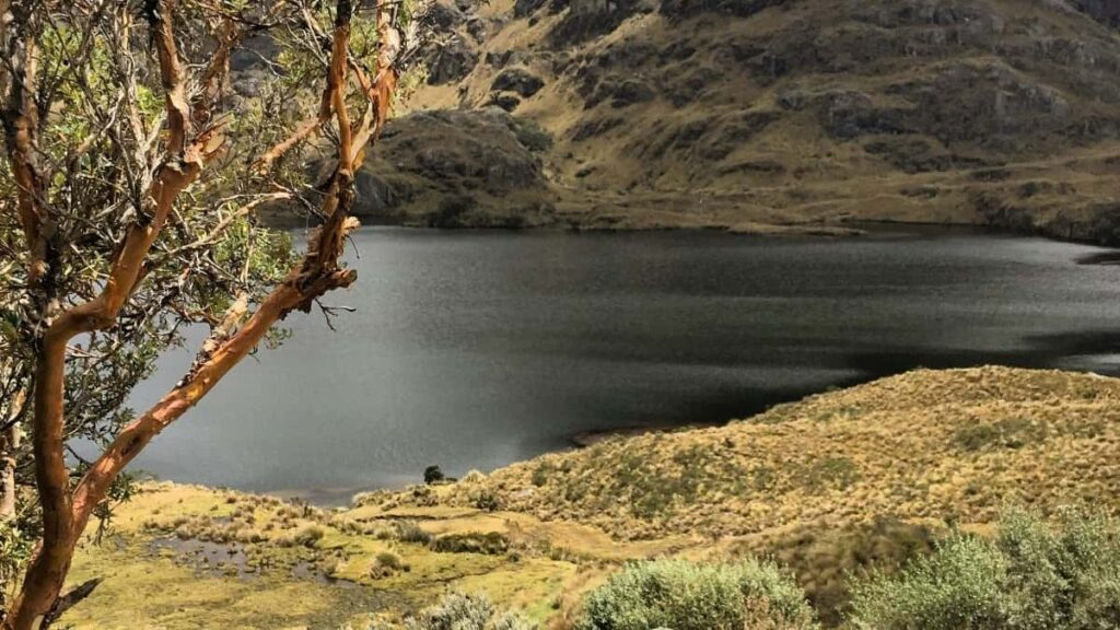 Como bloguers de WhatsApp em Angola podem colaborar com anunciantes da Noruega em 2025