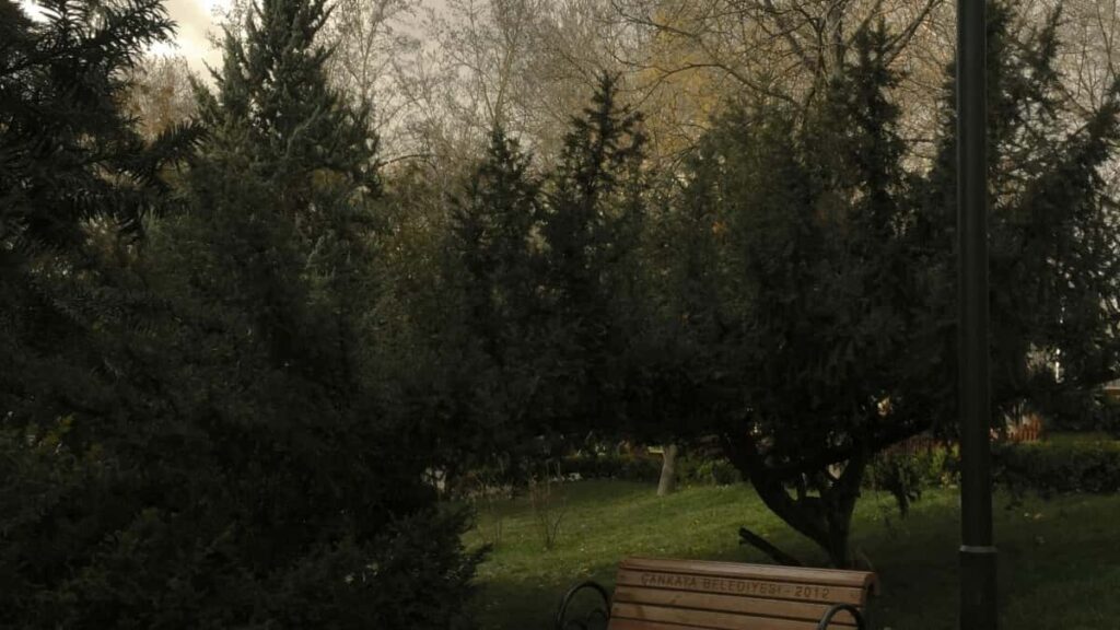 Como bloggers de TikTok em Angola podem colaborar com anunciantes no Qatar em 2025