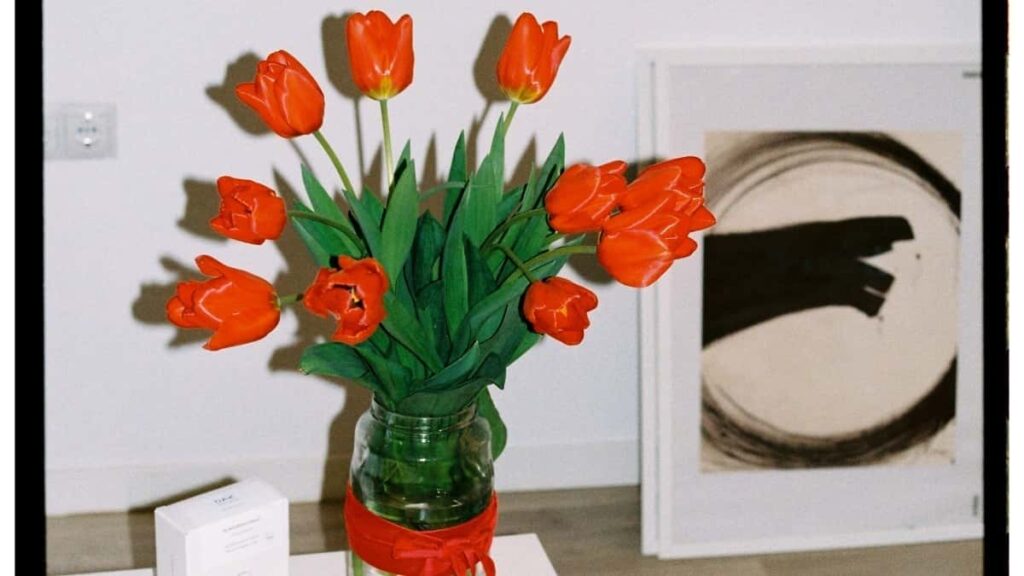 Como bloggers de Angola no Pinterest podem colaborar com anunciantes da Suécia em 2025