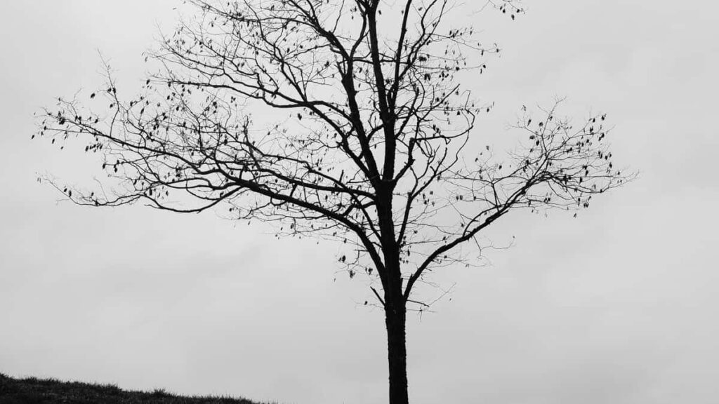 Como bloggers de Angola no Pinterest podem colaborar com anunciantes da Rússia em 2025