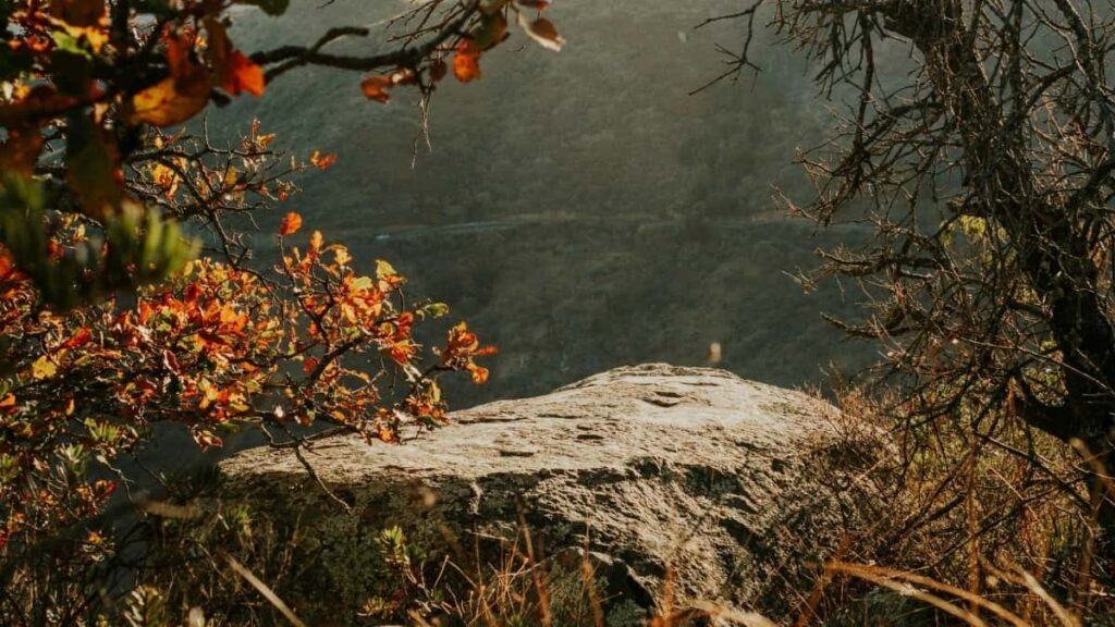 2025 Tabela de Preços Publicitários Snapchat África do Sul para Angola