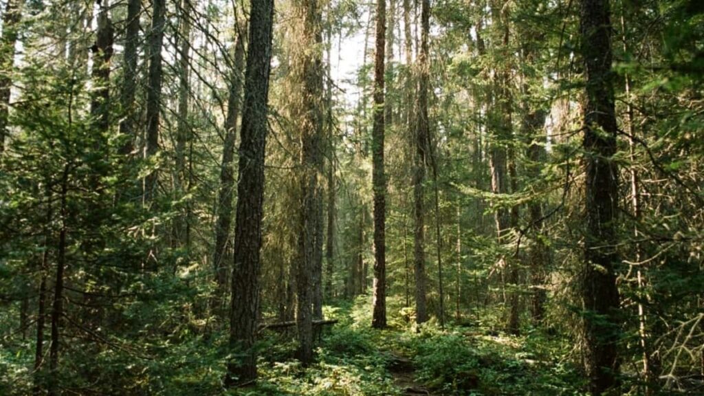 2025 Russia Pinterest Todos Categorias Precos Publicidade Angola