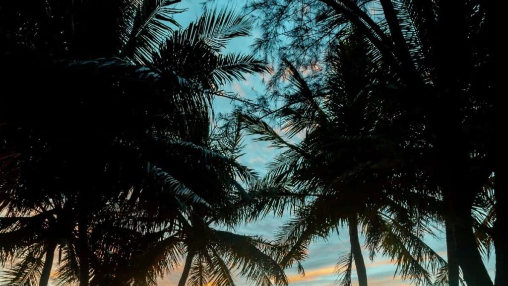 2025 Germany TikTok Advertising Rate Card para Angola