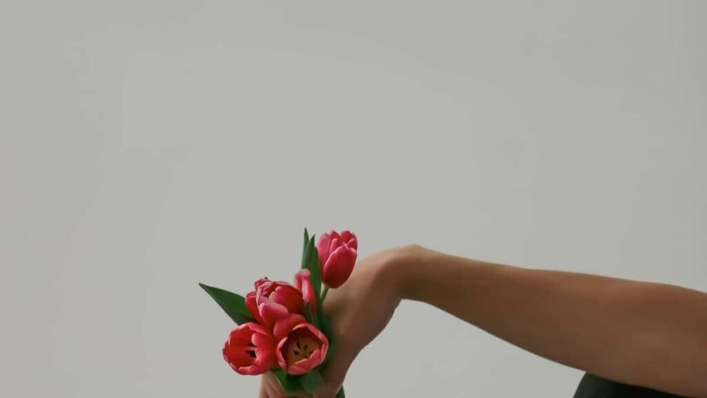 2025 Egypt TikTok Preços de Publicidade para Angola