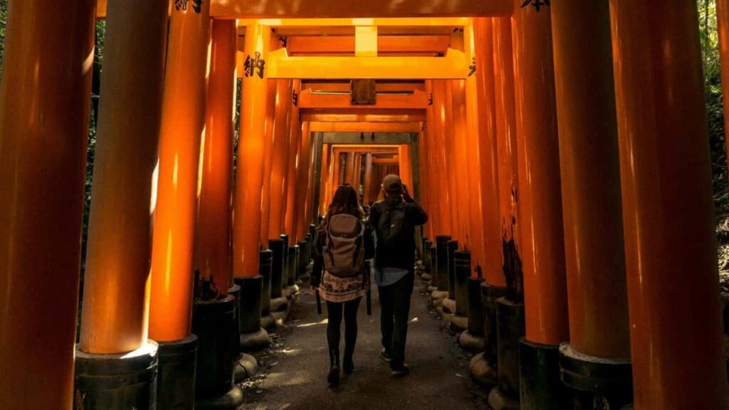 2025 Alemanha Instagram Publicidade Tarifário Completo Angola