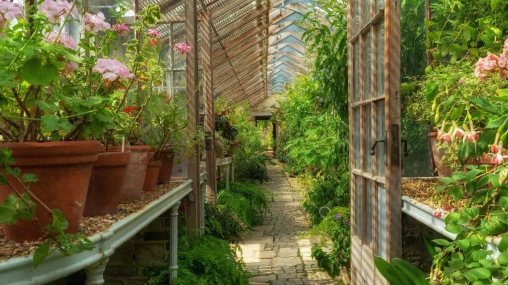 2025 Turkey Twitter AllCategory Advertising Rate Card Angola