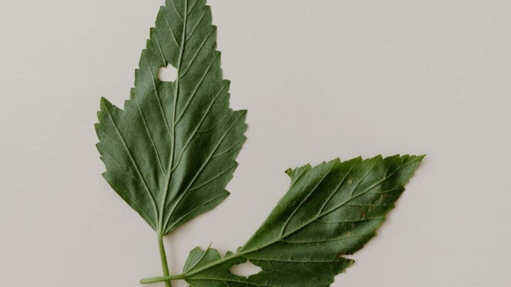 Tabela de Preços Publicitários Facebook China 2025 Angola