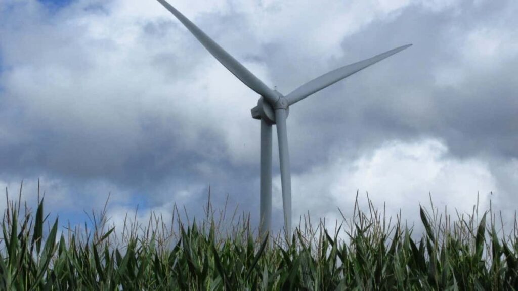 2025 Japan WhatsApp Advertising Rate Card para Angola