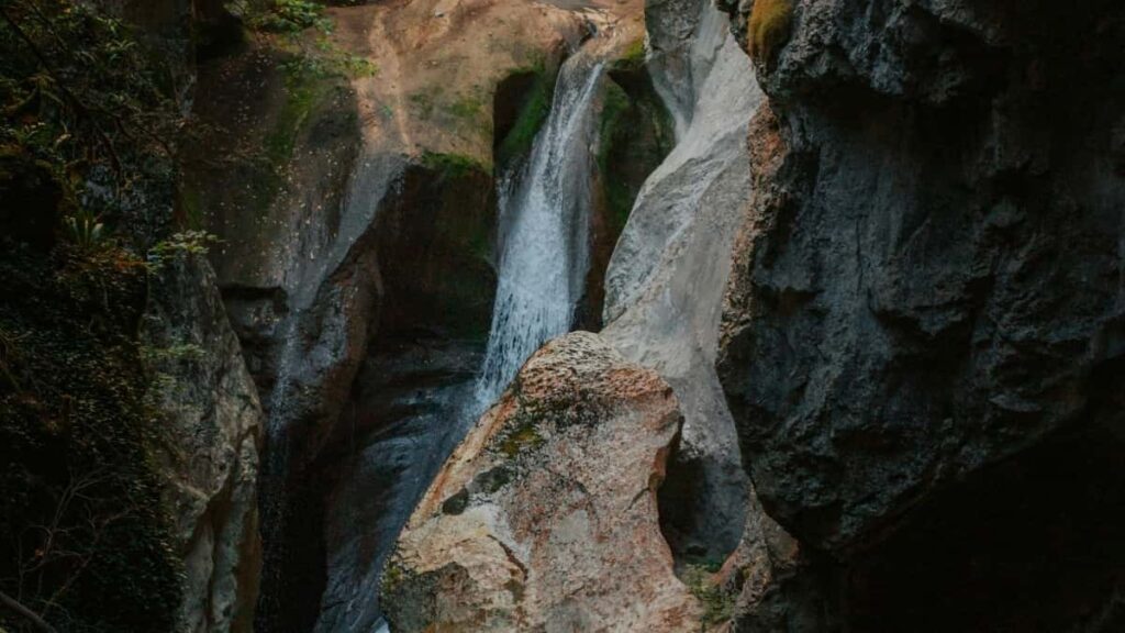 2025 South Africa Telegram AllCategory Advertising Rate Card Angola