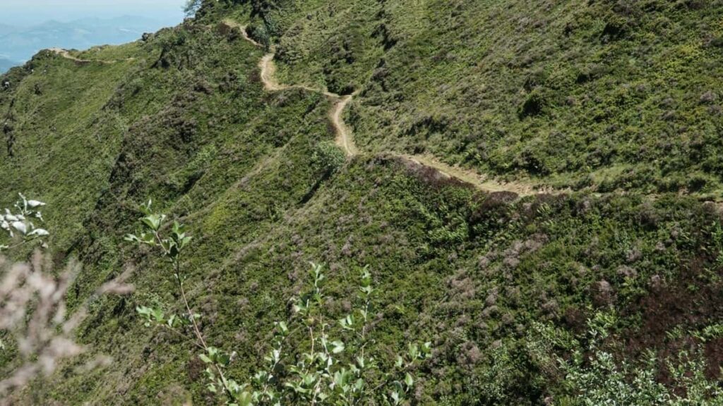 Tabela de Preços 2025 Publicidade TikTok Suécia Para Angola