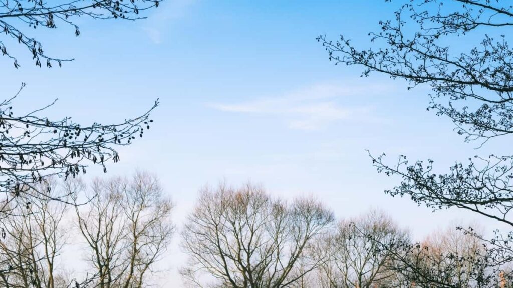 Tabela de Preços de Publicidade LinkedIn Canadá 2025 para Angola