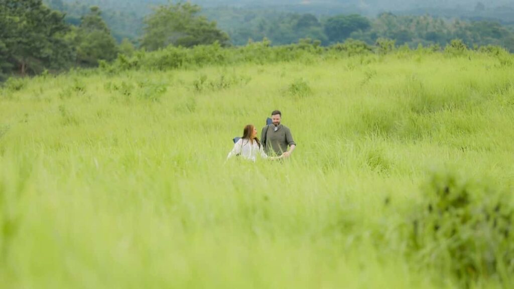 Tabela de Preços Publicitários Twitter Canadá 2025 Angola