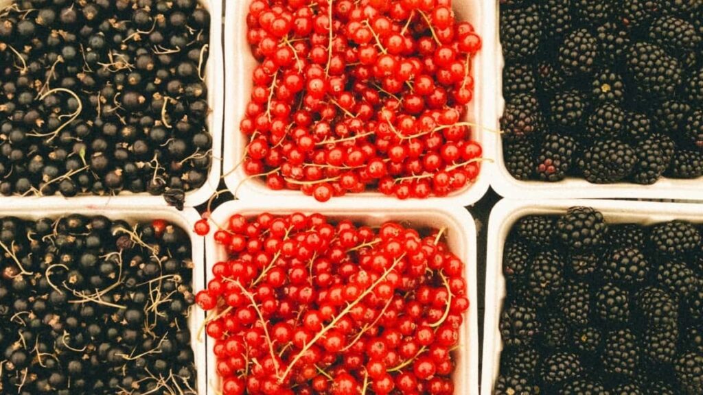 2025 Russia TikTok Publicidade Preços Para Angola