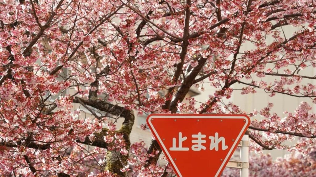 Tabela de Preços Publicitários Pinterest Suíça 2025 para Angola