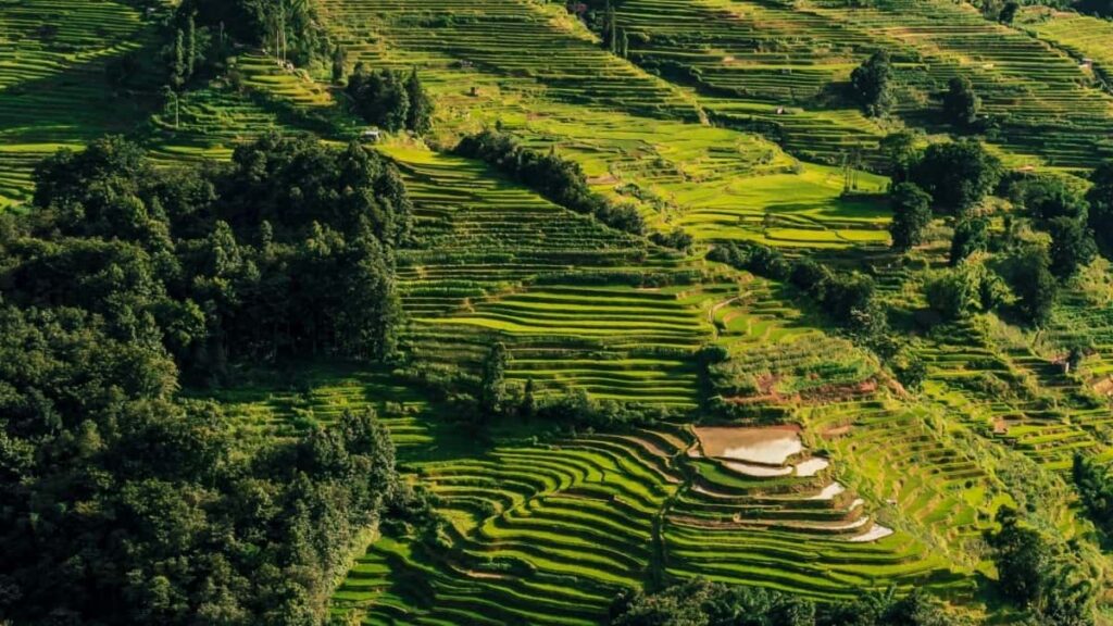 2025 South Korea Snapchat AllCategory Advertising Rate Card Angola