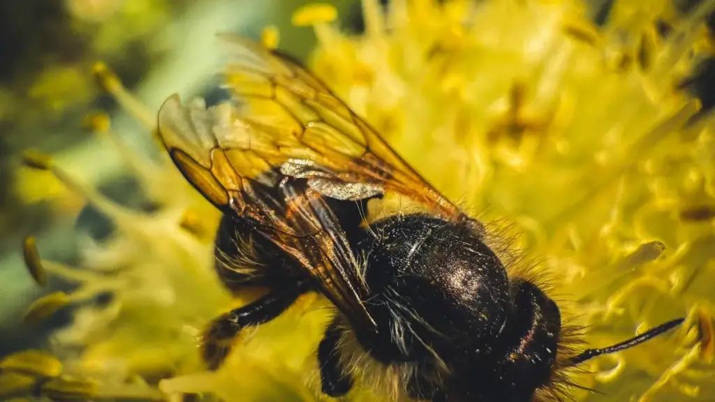 Descubra como anunciantes em Angola podem usar o Facebook na Lituânia para solicitar avaliações de produtos com sucesso.