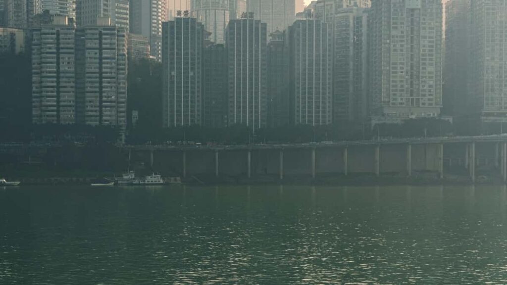 Dicas práticas para marcas angolanas promoverem produtos edição limitada na Argélia via Roposo.