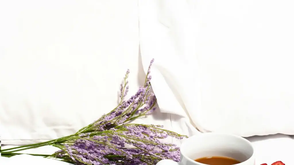 Dicas práticas para criadores em Angola alcançarem marcas Jordan no Lazada e dar mais força ao teu media kit.