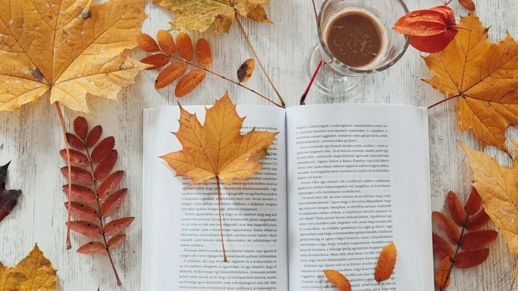 Aprenda como criadores de Angola e Venezuela podem colaborar em vídeos para Lazada e aumentar o alcance e ganhos.