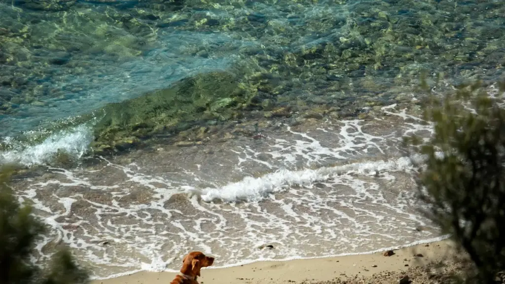 Como marcas em Angola podem negociar licenças de conteúdo Hulu na África do Sul para expandir presença digital.