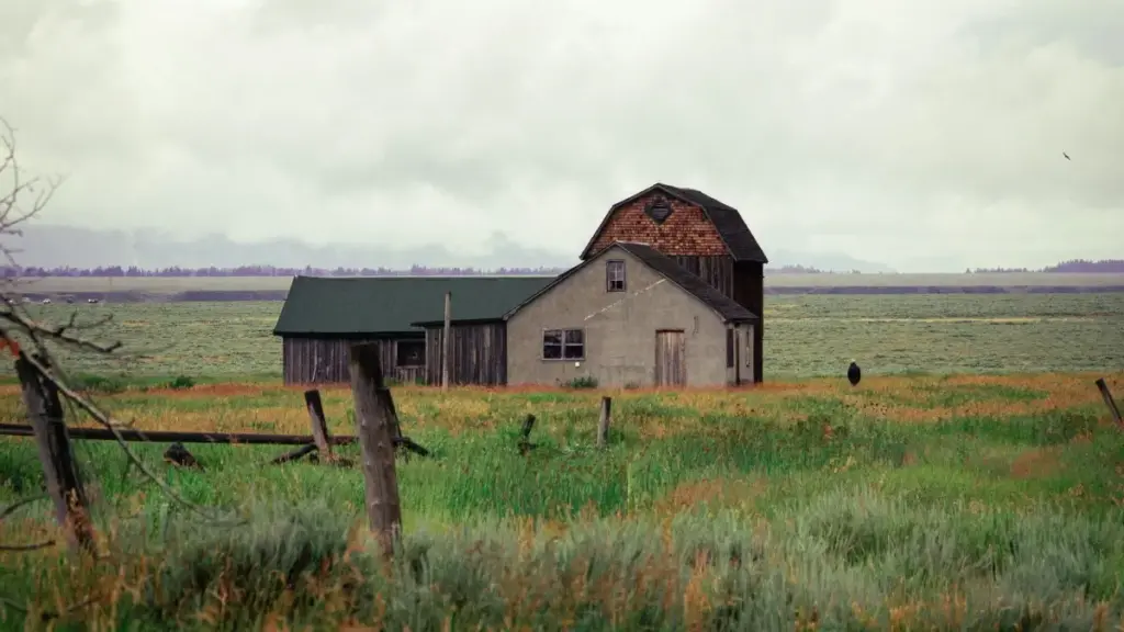 Guia prático para criadores angolanos conectarem com marcas venezuelanas no QQ e partilharem transformações antes e depois.