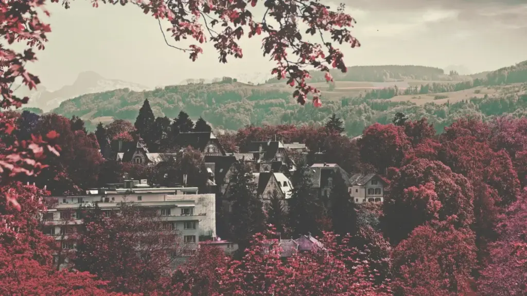 Guia prático para anunciantes em Angola sobre como achar criadores finlandeses no Jingdong e impulsionar downloads de apps via influenciadores.