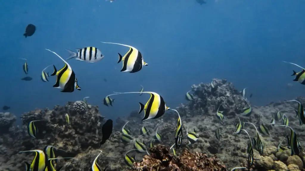 Guia prático para criadores em Angola conectarem-se com marcas suecas no Kuaishou e produzirem reviews detalhados.