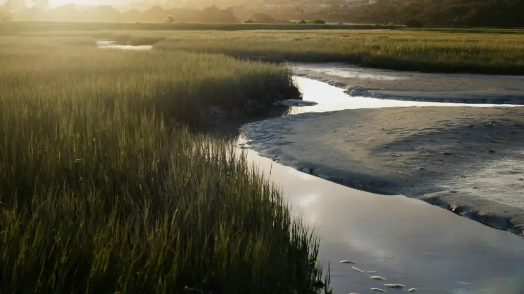 Guia prático para anunciantes angolanos encontrarem criadores Xiaohongshu na Dinamarca, enviar PR packages e maximizar conversões.