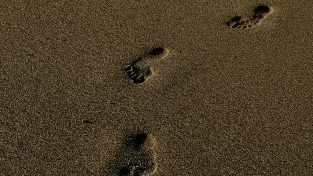 Guia prático para anunciantes angolanos encontrarem criadores Malta Zalo e lançarem campanhas UGC de sucesso.