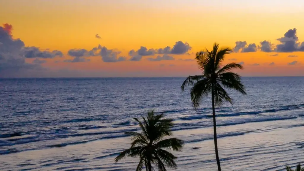 Guia prático para anunciantes angolanos sobre como identificar e trabalhar com criadores Pinterest da Austrália para product seeding eficiente.