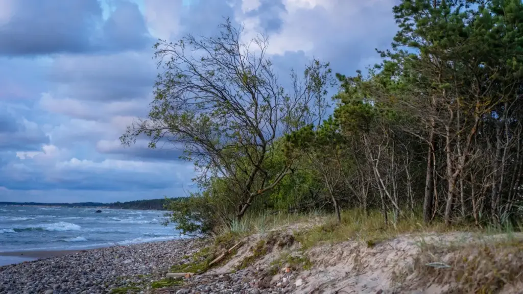 Guia prático para anunciantes em Angola: como encontrar criadores Moj no México e converter installs via streamers, com tácticas de prospecção, avaliação e medição.