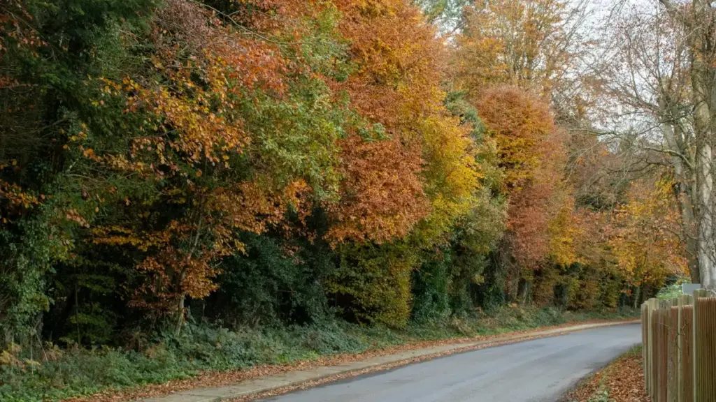 "Guia prático para anunciantes em Angola: como identificar, checar e fechar parcerias com criadores russos no Apple Music para campanhas de afiliados via influencers."