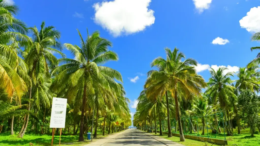 Guia prático para marcas em Angola que querem encontrar criadores do Uzbequistão no Taobao e lançar tutoriais de maquilhagem com impacto.