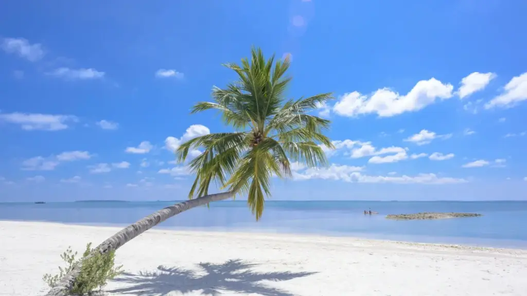 Estratégias práticas para marcas angolanas encontrarem criadores WeChat em Singapura e aumentar a visibilidade do produto.