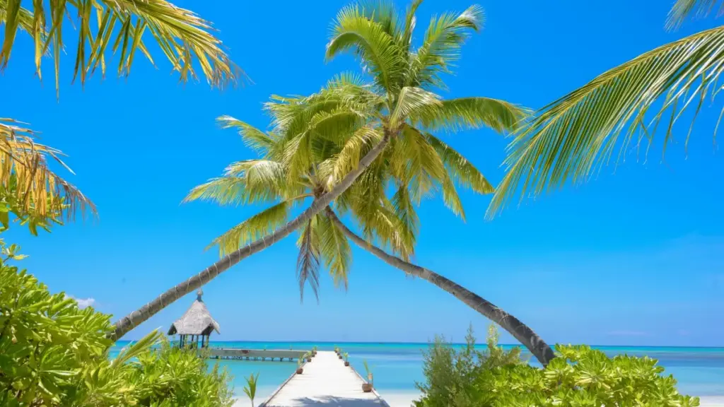 Guia prático para anunciantes em Angola: como localizar criadores iraquianos para campanhas de reaction a álbuns, alternativas quando Lazada não opera localmente, e táticas de execução.