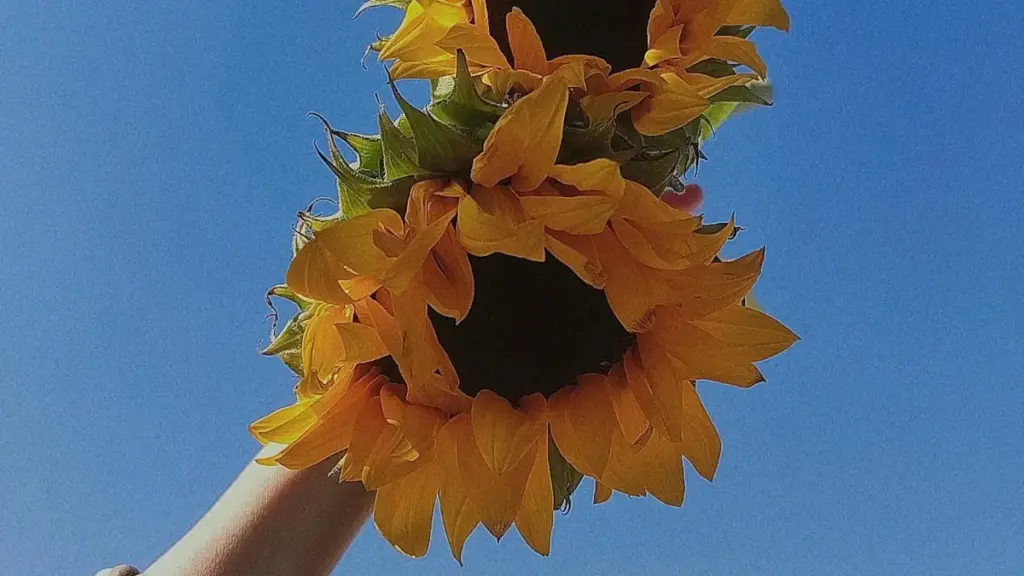 Guia prático para criadores em Angola que querem contactar marcas do Chipre no LinkedIn e garantir convites para betas exclusivos.