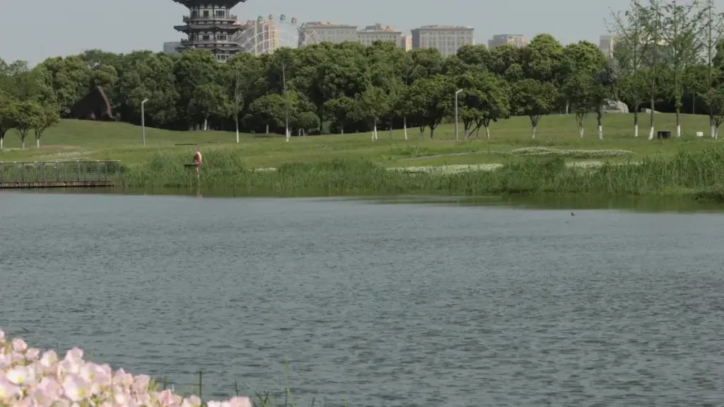 Guia prático para criadores em Angola posicionarem campanhas junto de marcas islandesas via Disney+, usando influenciadores, eventos live e estratégias de targeting.