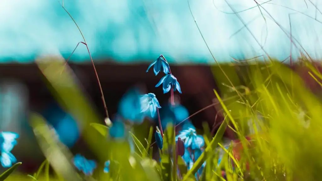 Guia prático para criadores angolanos contatar marcas iraquianas no Zalo usando ferramentas patrocinadas e estratégias locais.